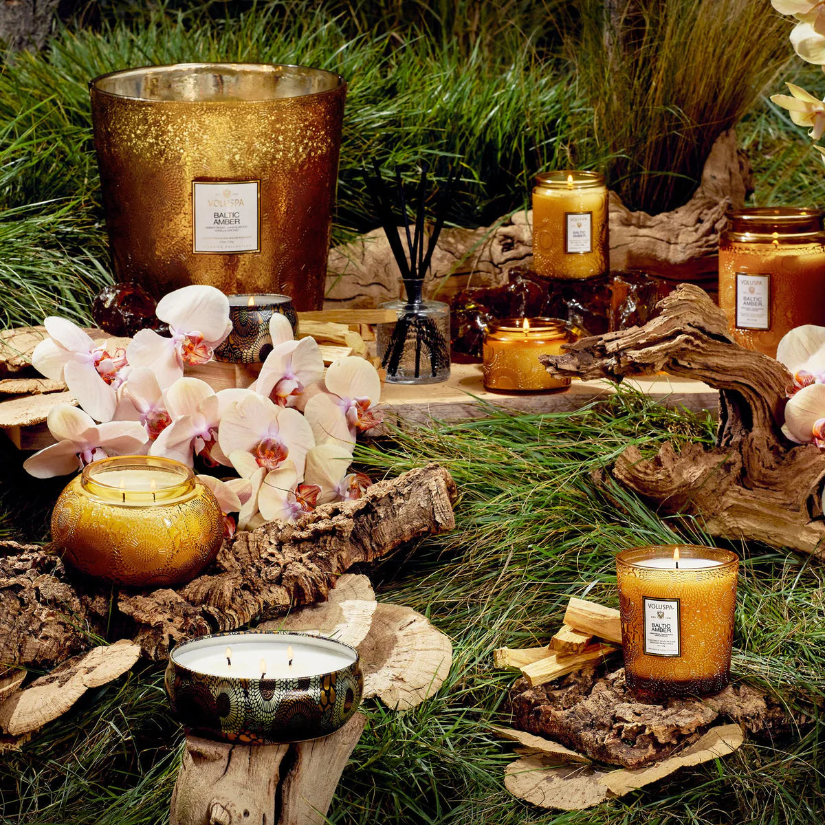 Baltic amber collection in nature scene 