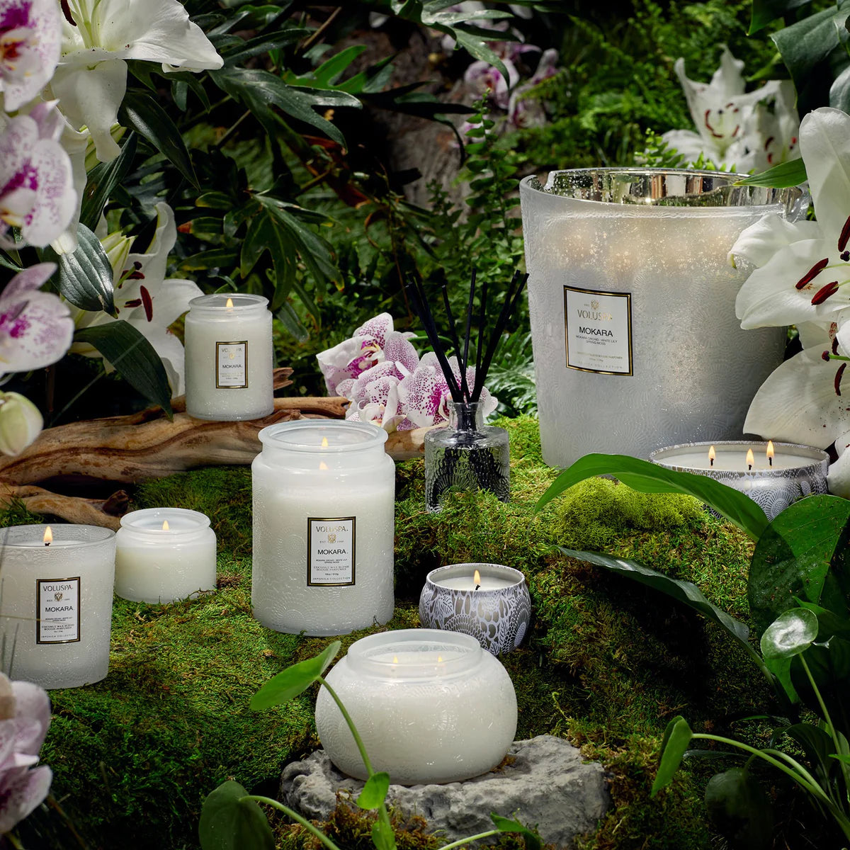 Mokara candle collection in nature scene